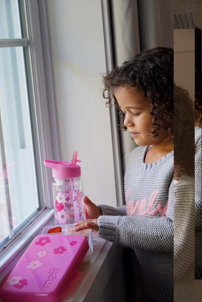 Snackle Box Mini  6 Compartment