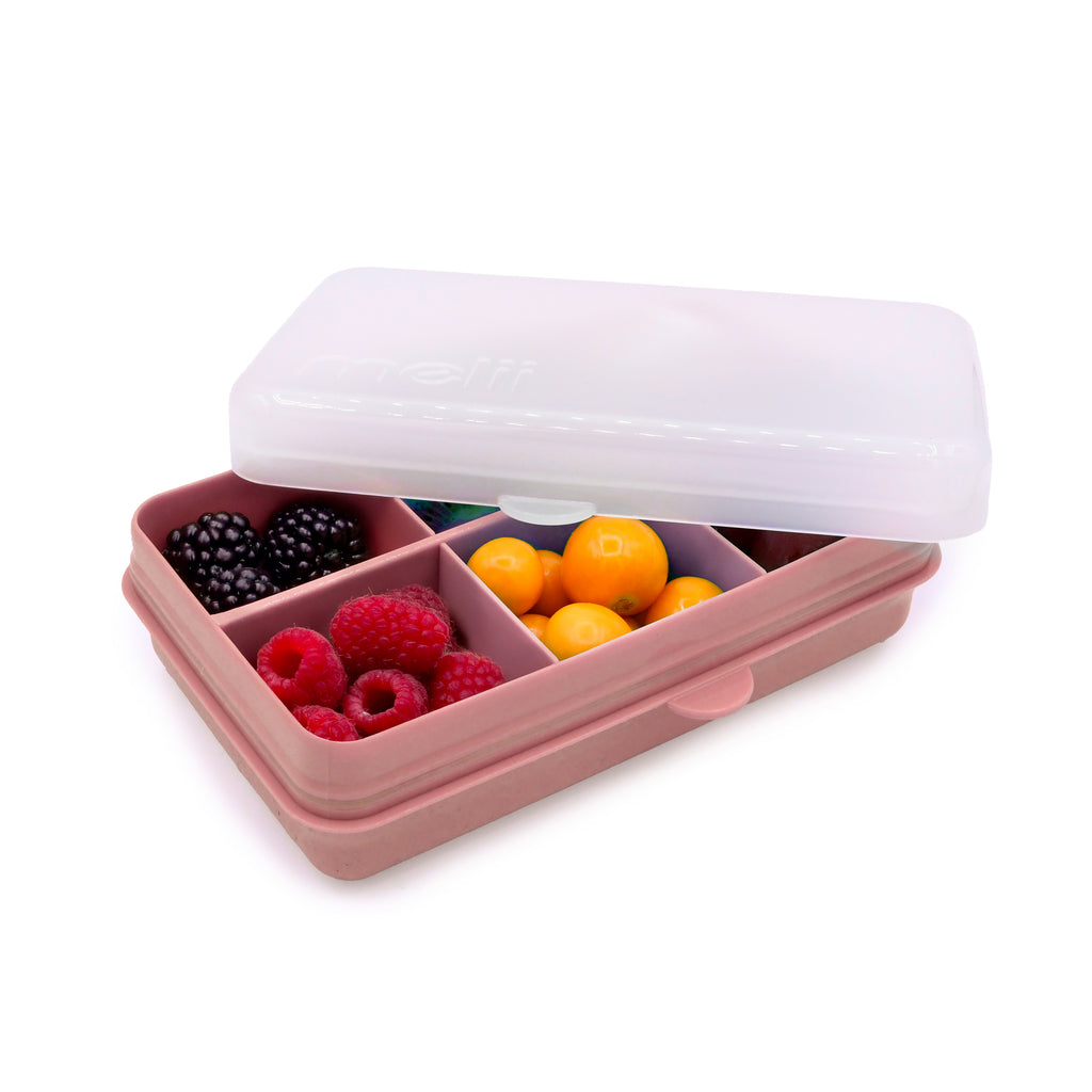 Snackle Box Mini  6 Compartment