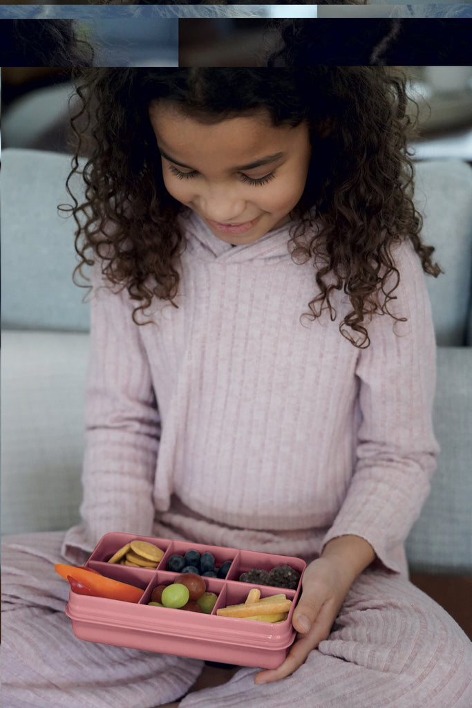 Snackle Box Mini  6 Compartment