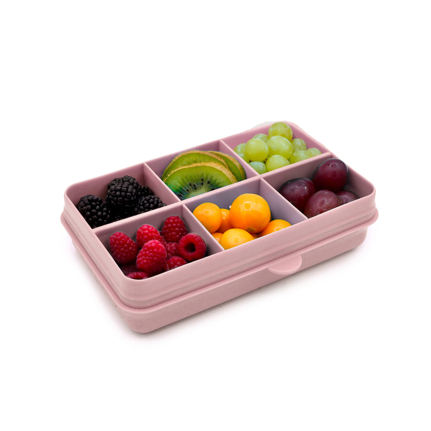 Snackle Box Mini 6 Compartment – Meliibaby