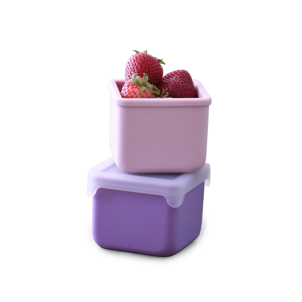 100% Silicone Snack Container – 2 Pack